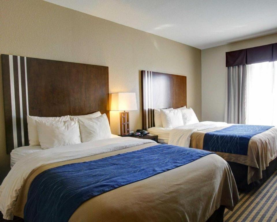 Comfort Inn & Suites Navasota Εξωτερικό φωτογραφία