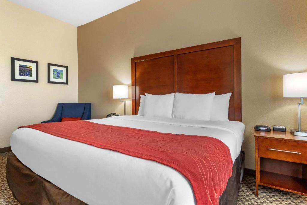 Comfort Inn & Suites Navasota Εξωτερικό φωτογραφία