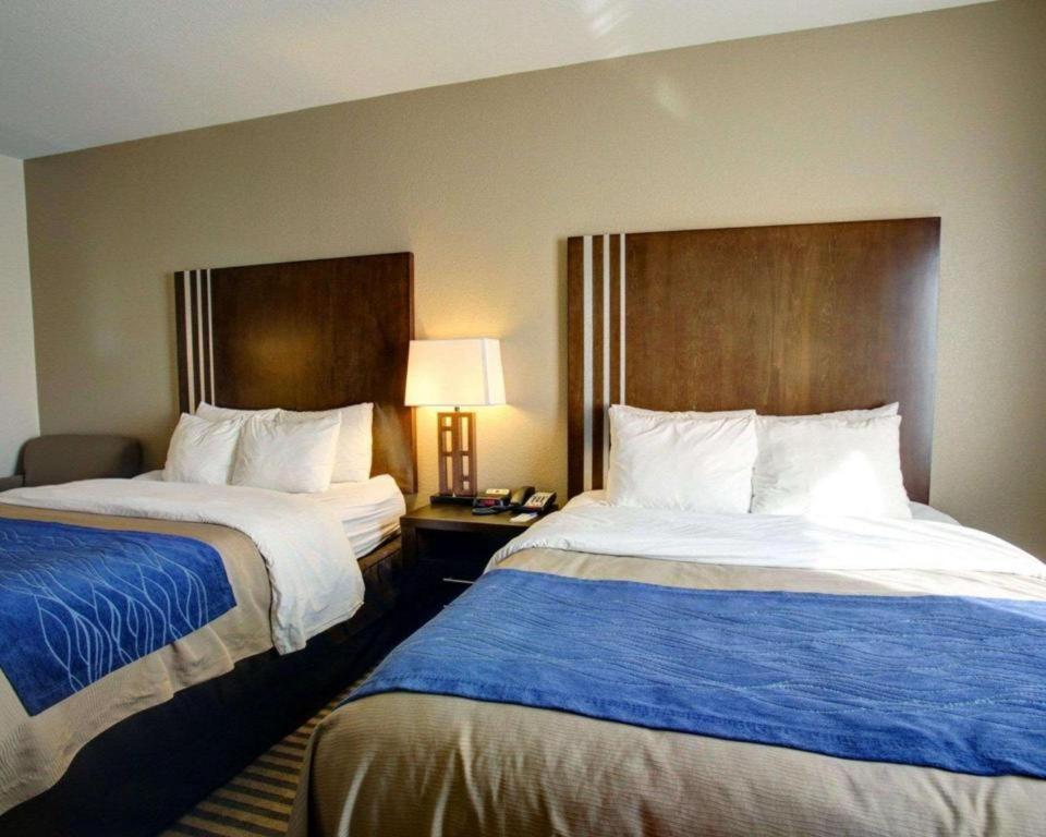 Comfort Inn & Suites Navasota Εξωτερικό φωτογραφία
