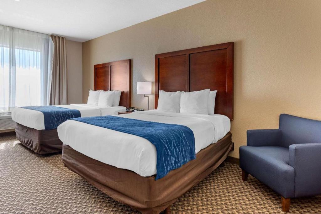 Comfort Inn & Suites Navasota Εξωτερικό φωτογραφία