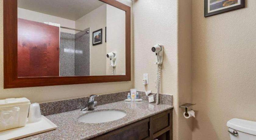 Comfort Inn & Suites Navasota Εξωτερικό φωτογραφία