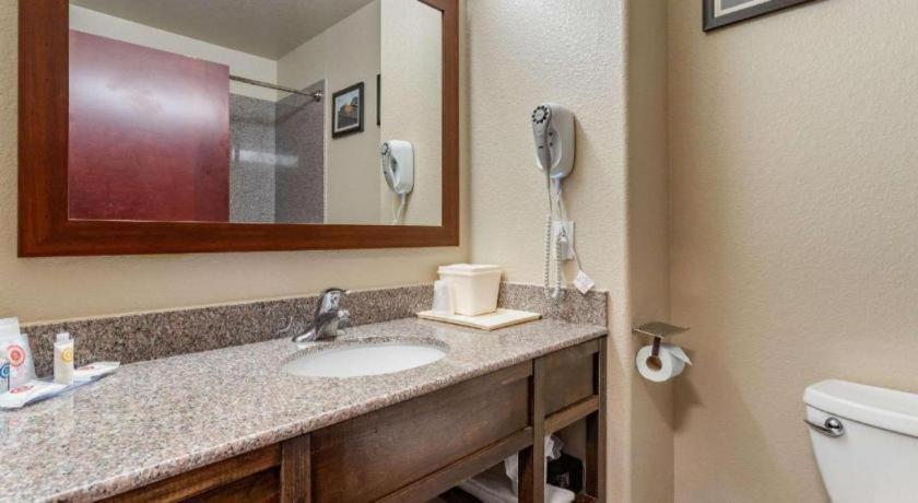 Comfort Inn & Suites Navasota Εξωτερικό φωτογραφία