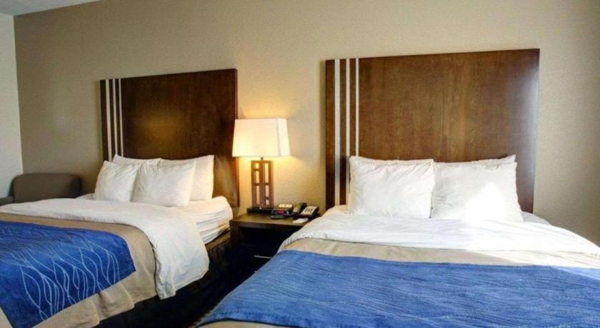 Comfort Inn & Suites Navasota Εξωτερικό φωτογραφία