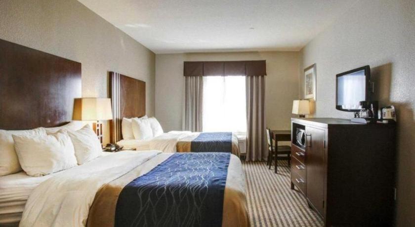 Comfort Inn & Suites Navasota Εξωτερικό φωτογραφία