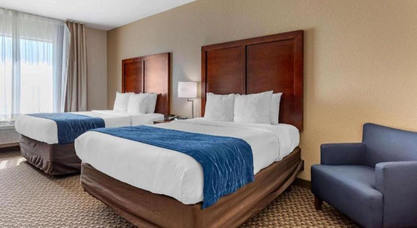 Comfort Inn & Suites Navasota Εξωτερικό φωτογραφία